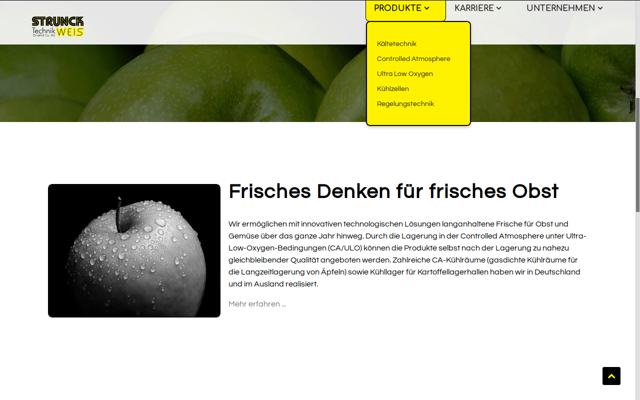 Website der Strunck-Weis Technik GmbH & Co. KG